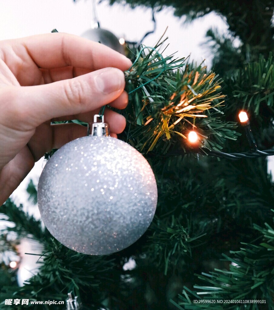 圣诞树 