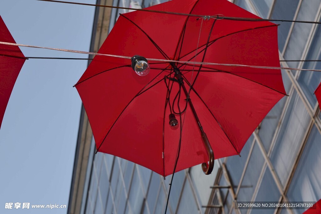 红伞  