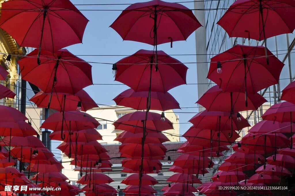 红伞  