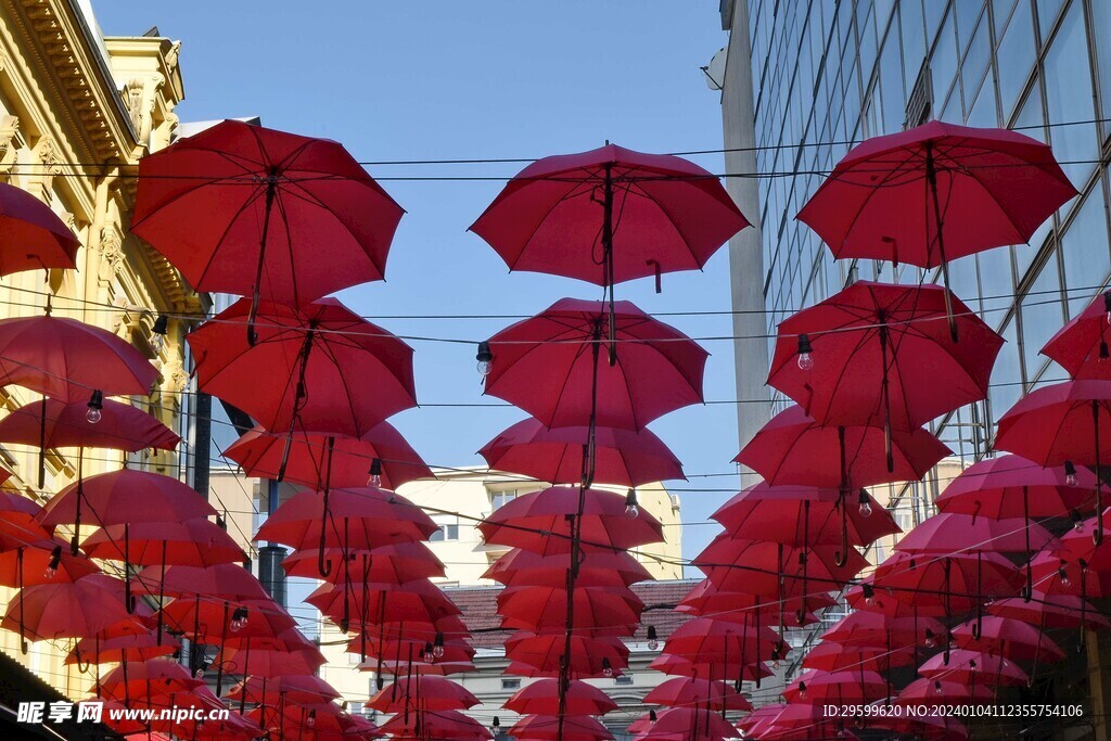 红伞 