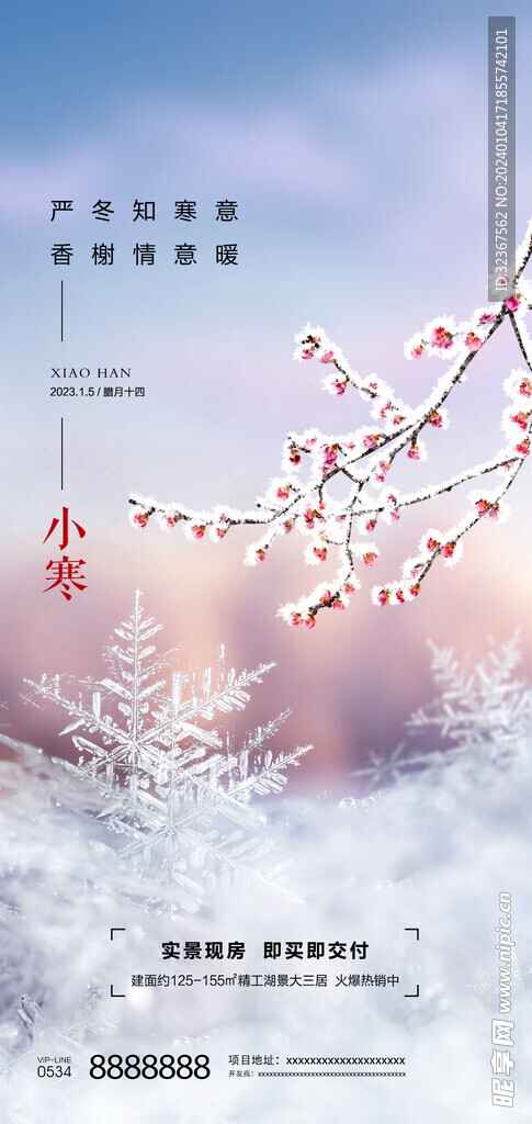 小寒海报