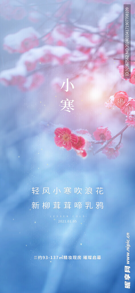 小寒海报