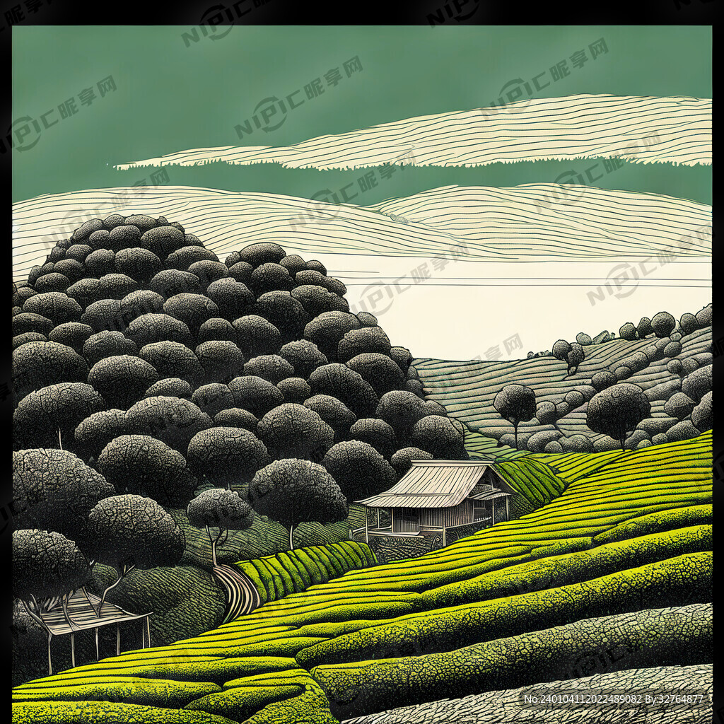 茶园 采茶。细节刻画 线条突出
