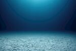 海底