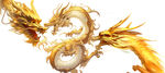 金色龙