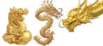 金色龙