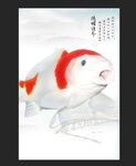 锦鲤鱼水族观赏鱼海报壁纸