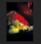 红色锦鲤鱼水族观赏鱼海报