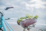 海滩自行车