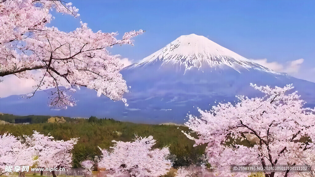 富士山