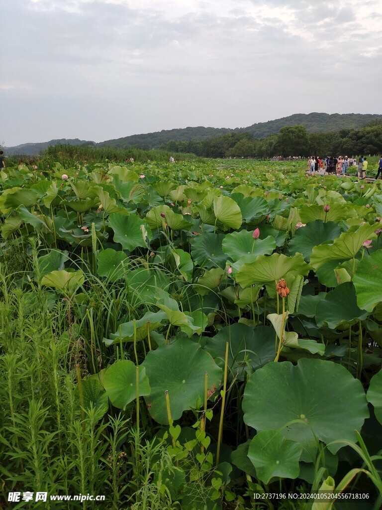 管社山庄