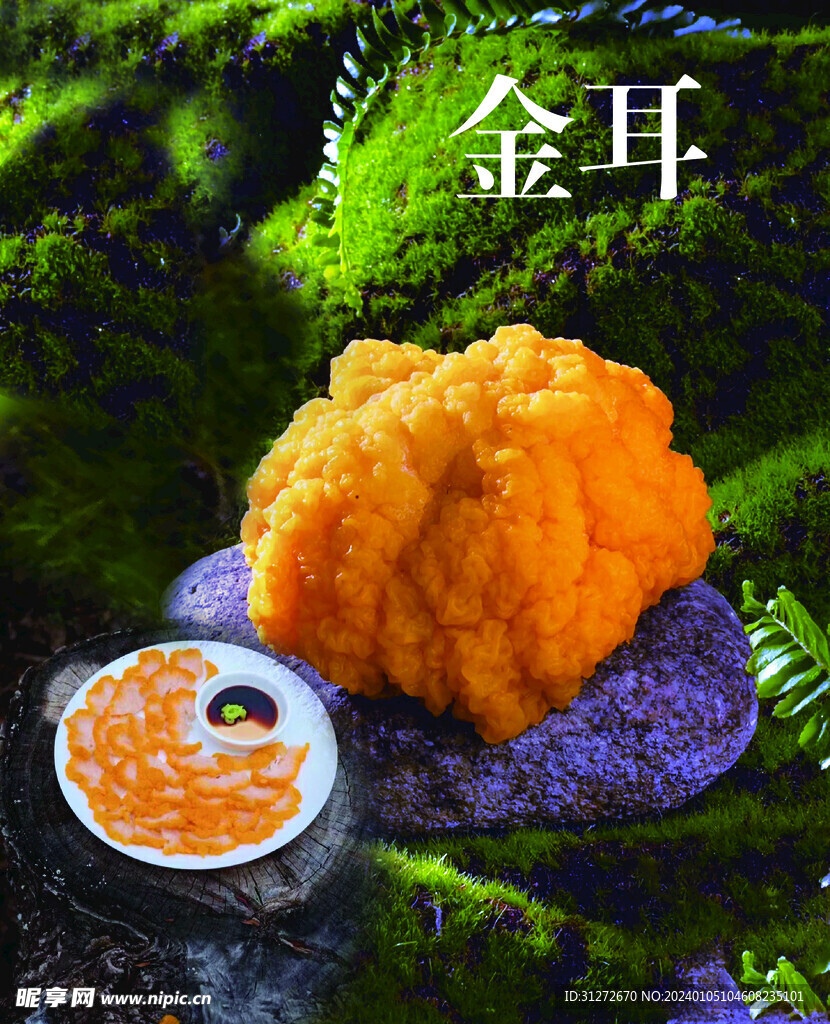 金耳菌子