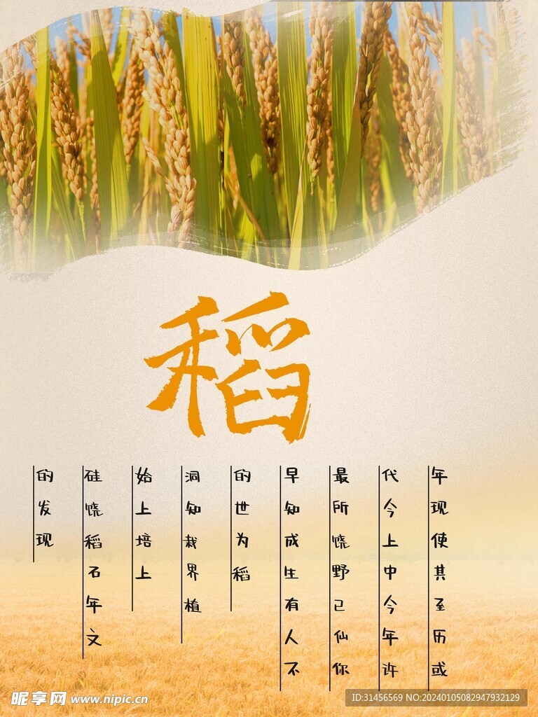 稻