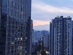 城市