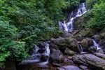 山涧溪水图片