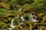 山涧溪水图片