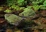 山涧溪水图片