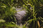 山涧溪水图片