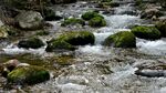 山涧溪水图片