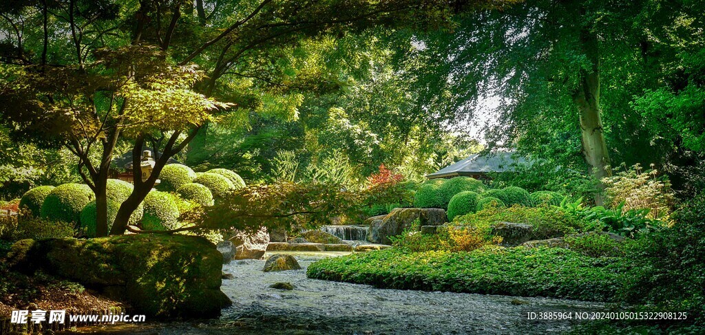 山涧溪水图片