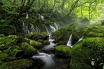 山涧溪水图片