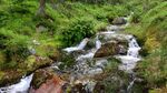 山涧溪水图片