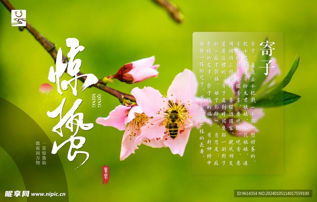 惊蛰