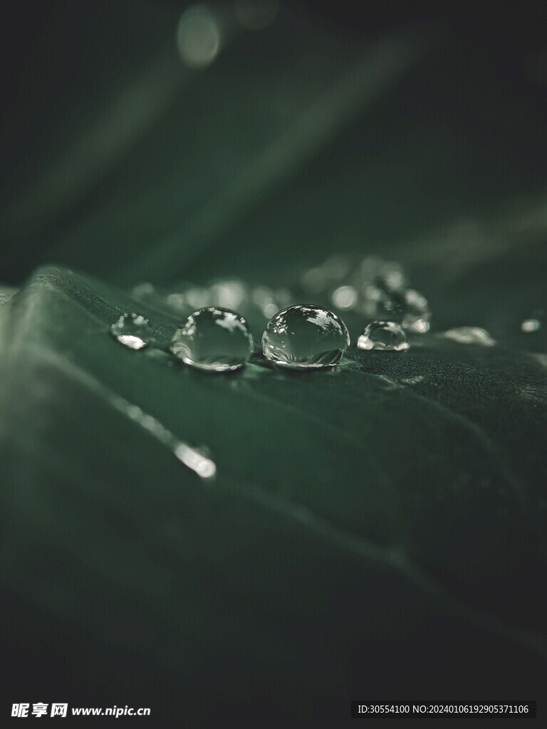 水珠图片