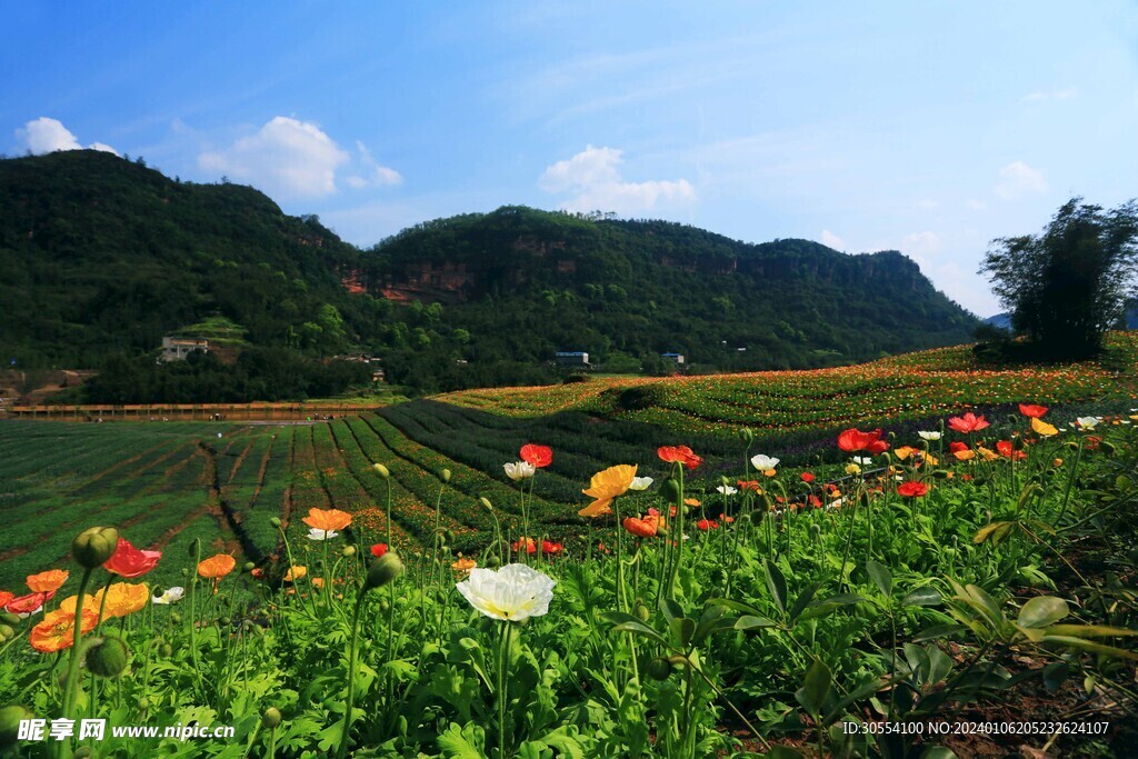 大山风景图片