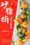 砂糖橘海报