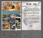 乌龟卡片