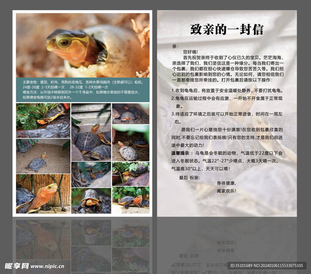 乌龟卡片