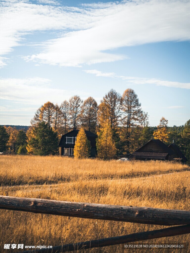 牧场风景
