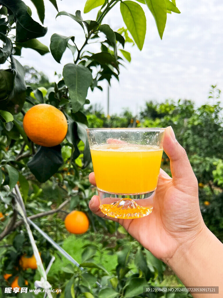鲜榨橙汁
