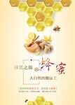 蜂蜜与蜜峰海报