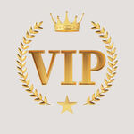 vip logo 会员模板