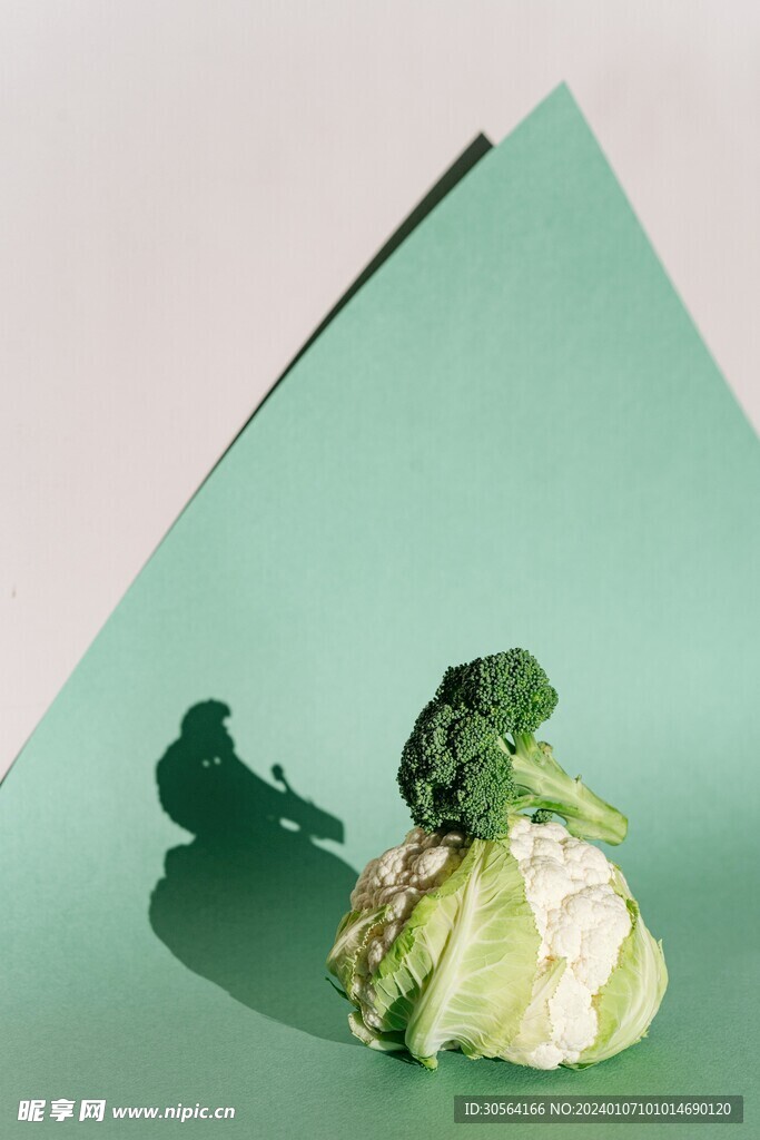 包菜食材