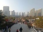 城市风光