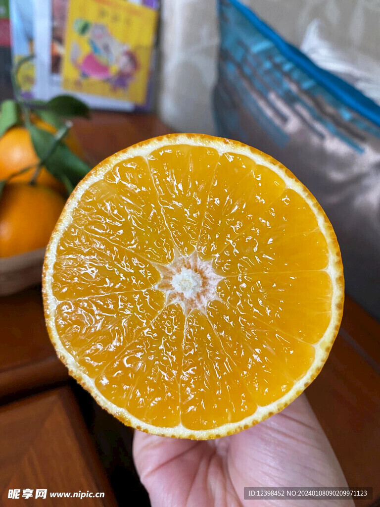 脐橙