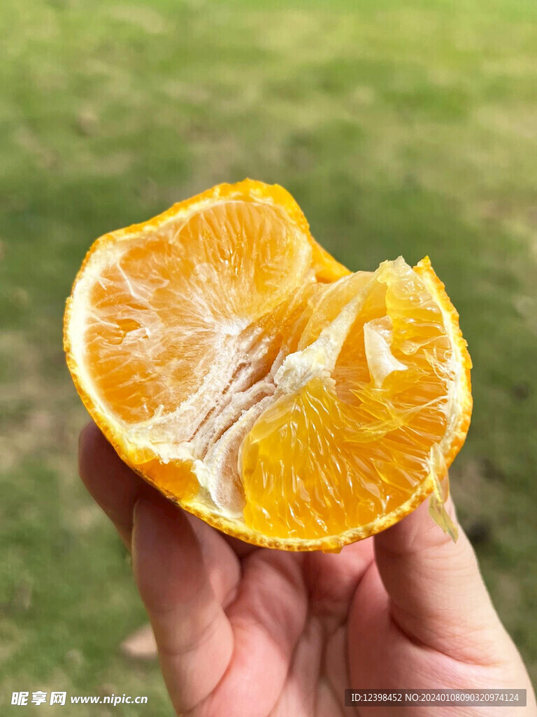脐橙