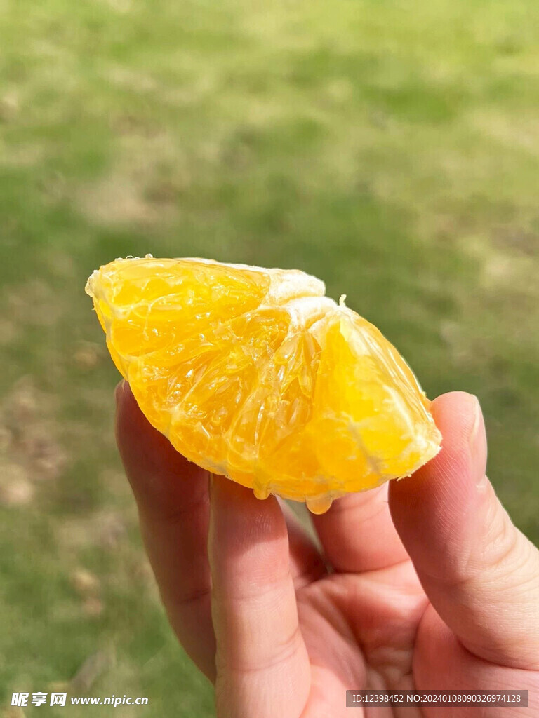 橘子