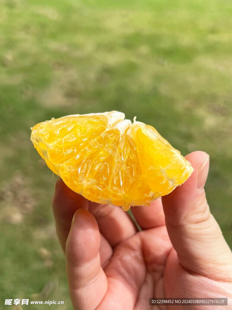 柑橘