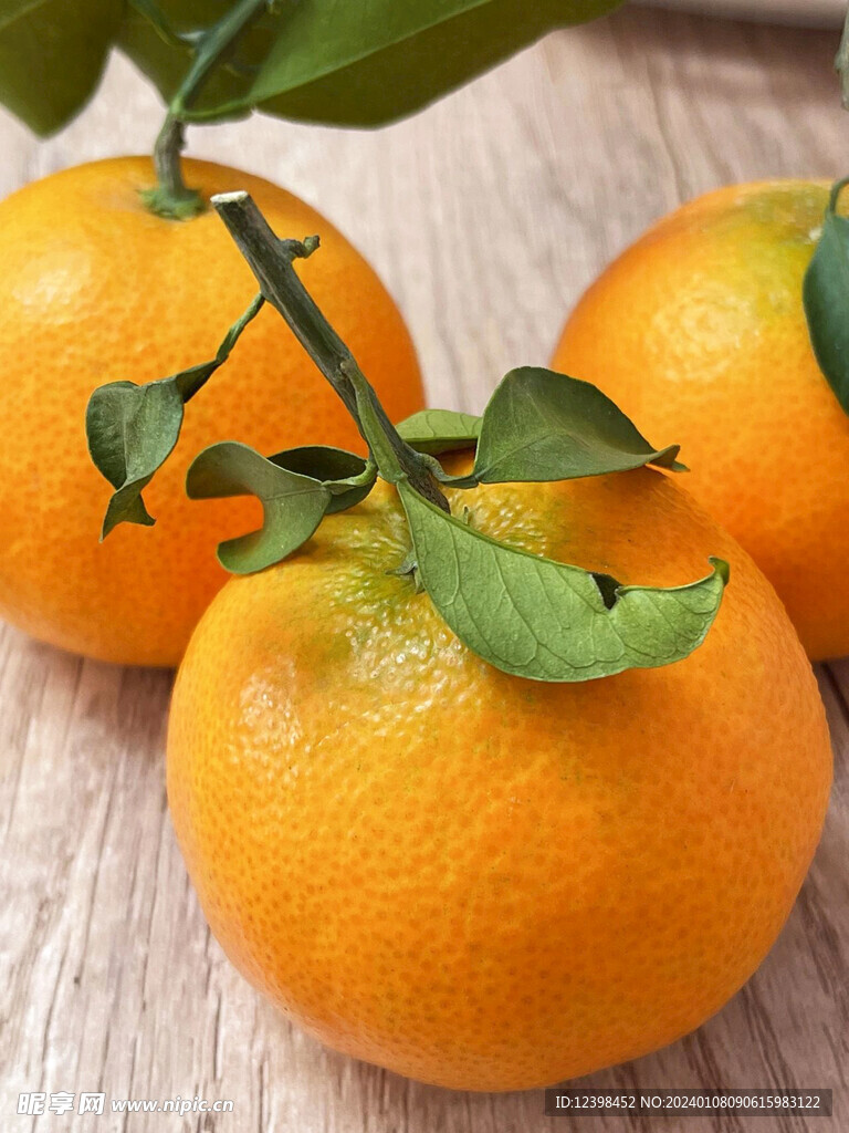 柑橘