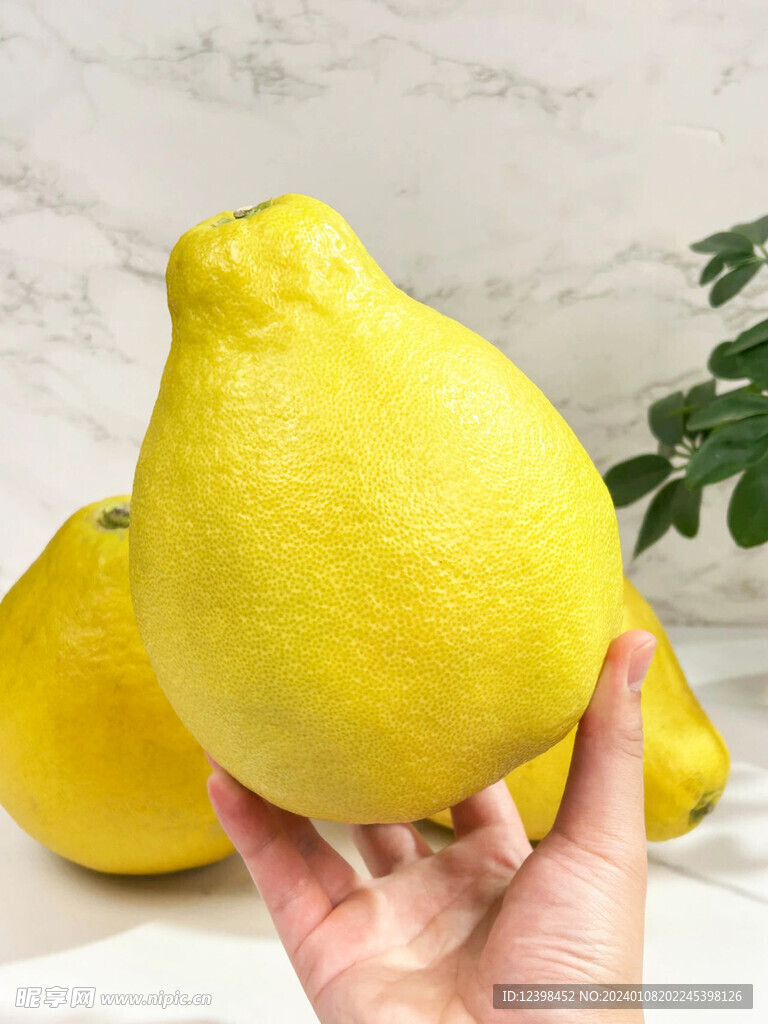 柚子