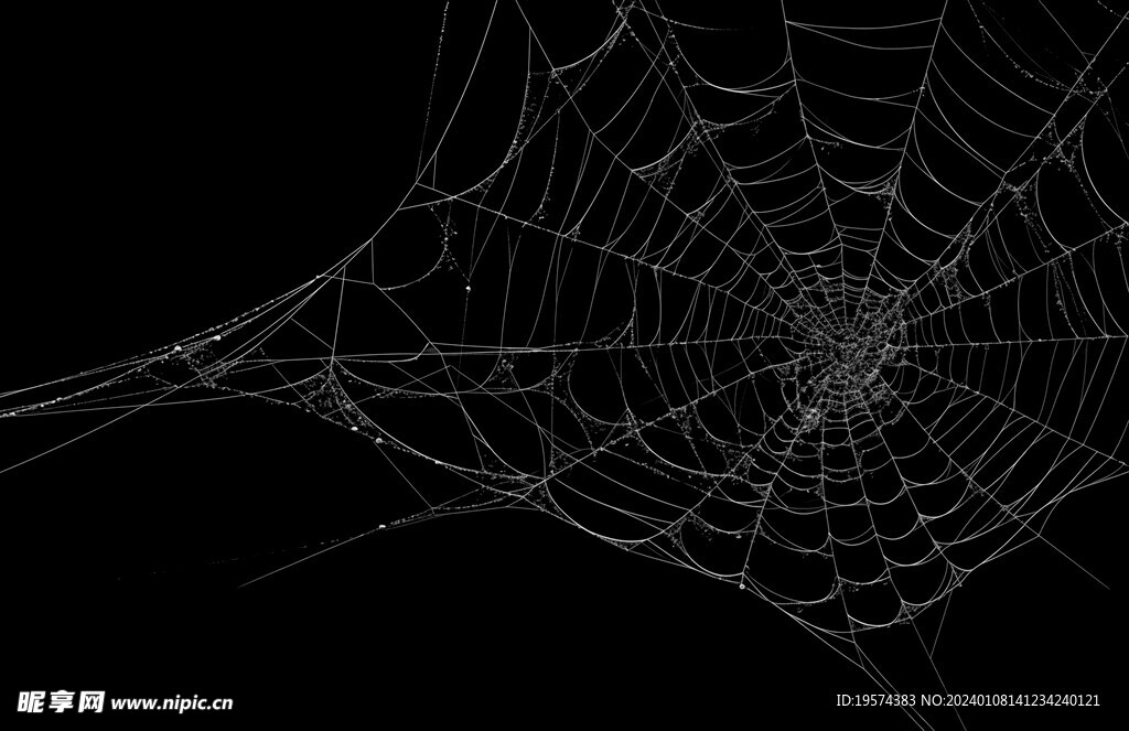 蜘蛛网 