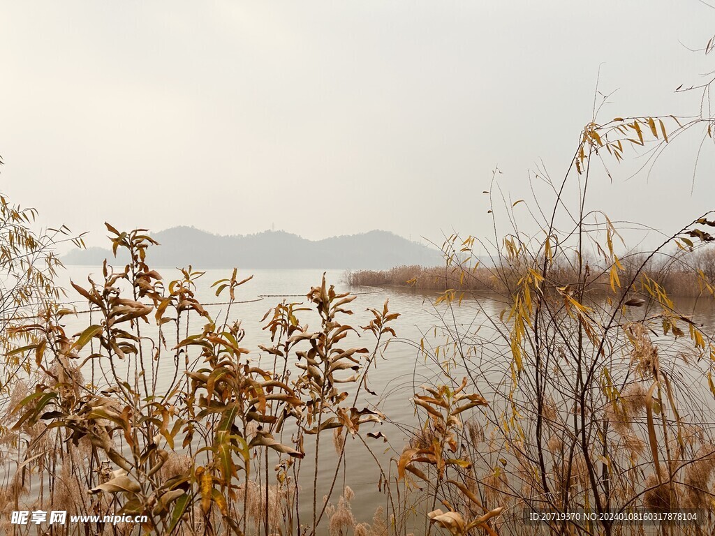 青山湖