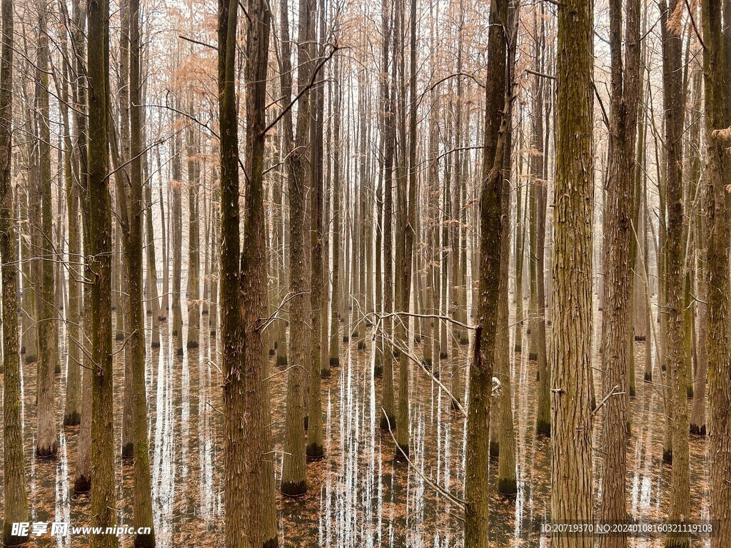 青山湖