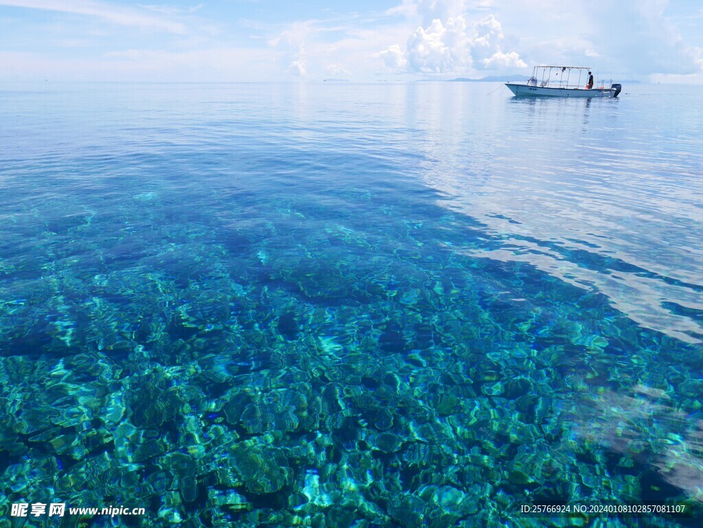 海面图片