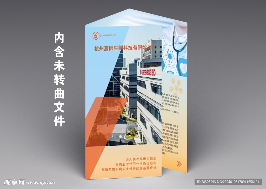 医学折页 公司折页