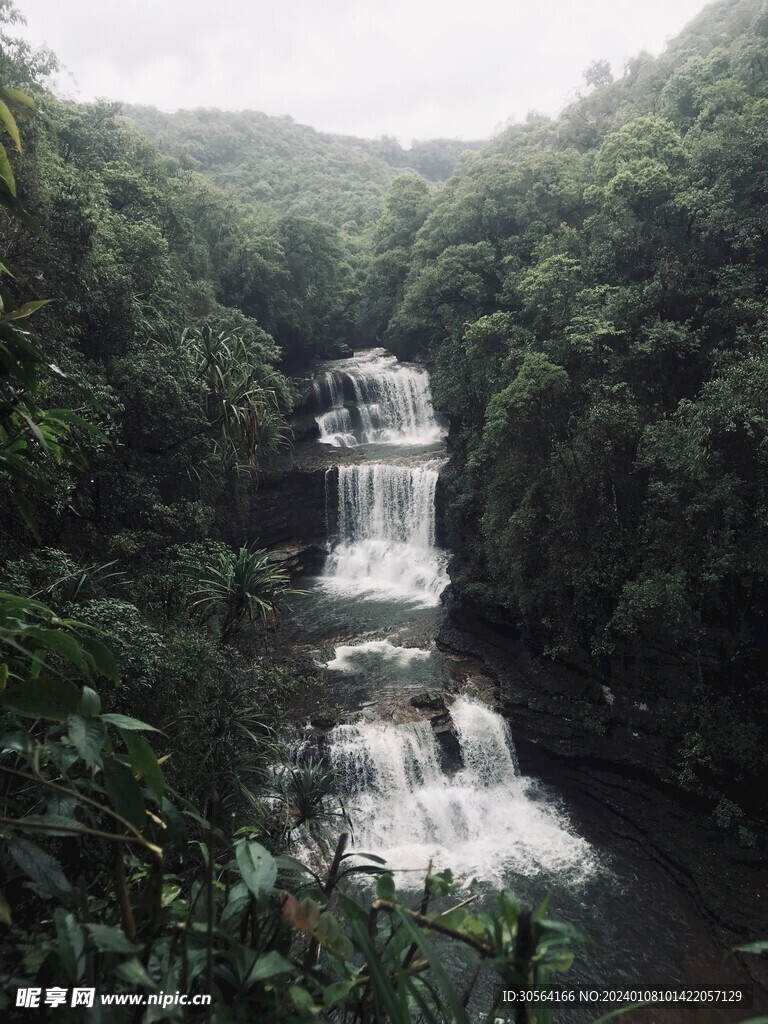 森林瀑布水流